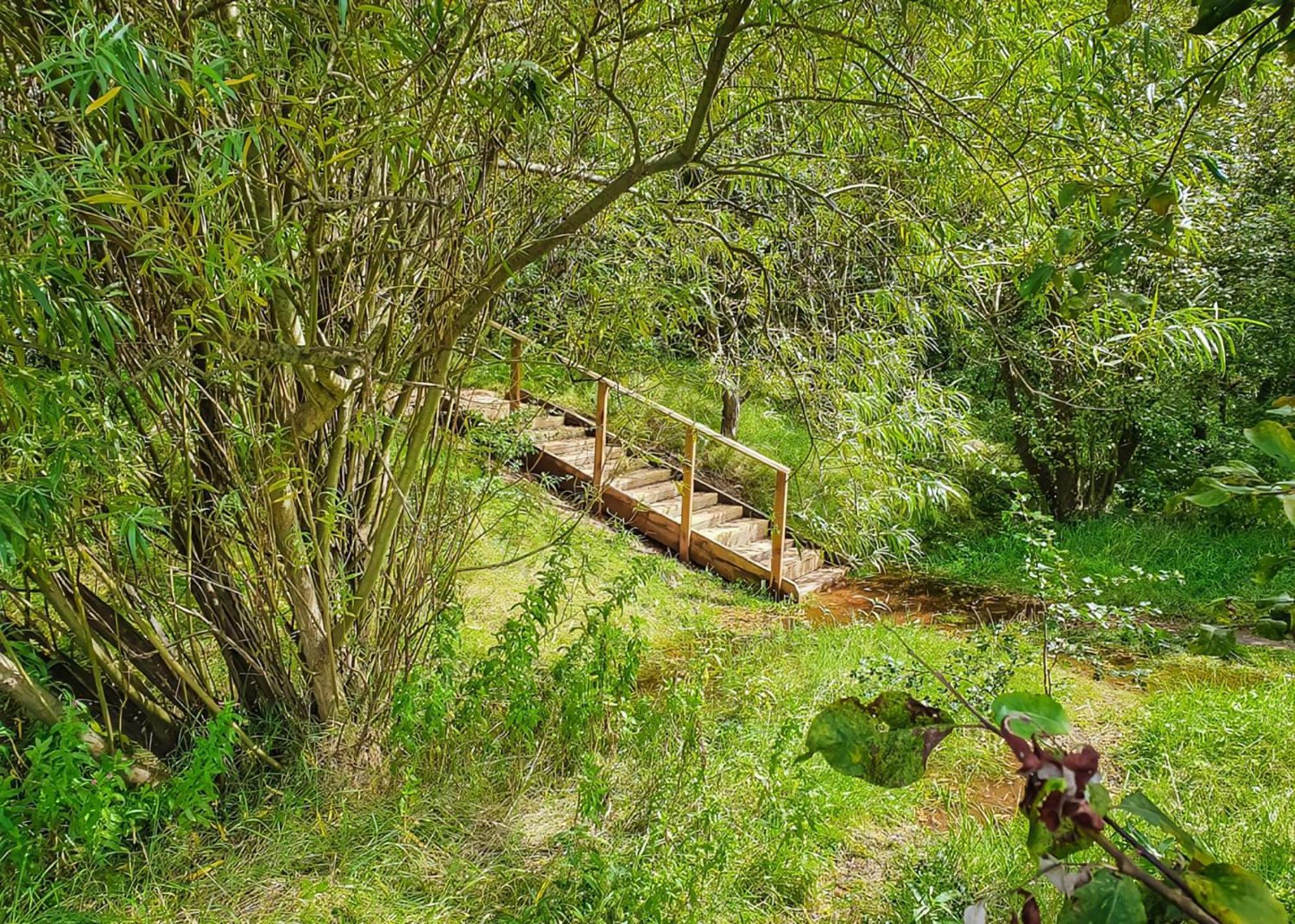 Waren Caravan Park Bamburgh Dış mekan fotoğraf